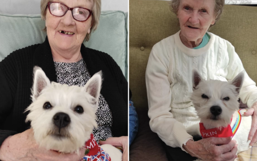 Pumpkin Power at Brantley Manor