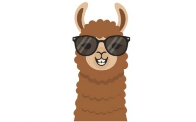 Alpaca my bags to visit Hollybank!