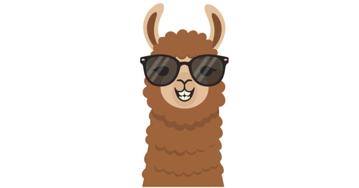 Alpaca my bags to visit Hollybank!