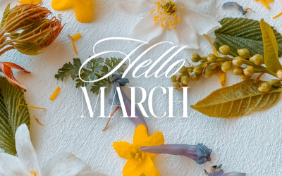 Gedling retrospective & March plans