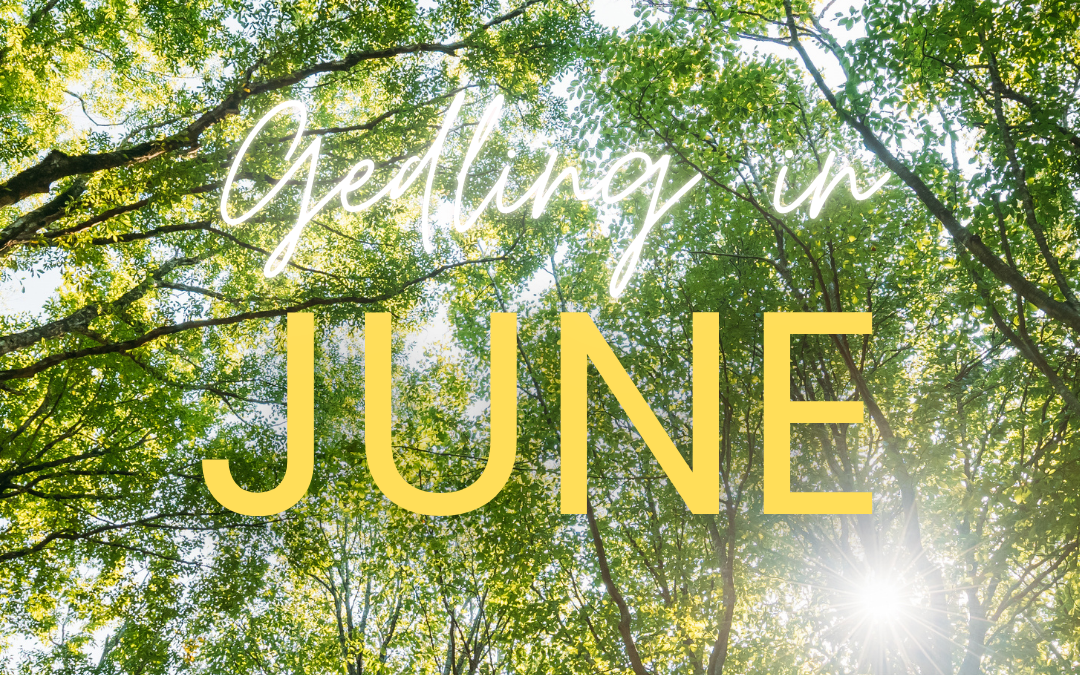 Gedling catch up & a look forward to June