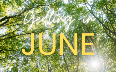 Gedling catch up & a look forward to June