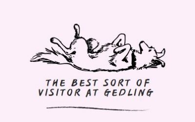 A Very Special Visitor Brings Smiles to Gedling