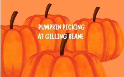 Residents Roar with Laughter During Dinosaur Themed Pumpkin Picking Adventure at Gilling Reane